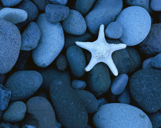 Starfish rocks gravel ocean blue 5 - a photo free wallpaper