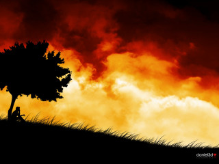 Person sitting tree field red - cyril rolando free wallpaper