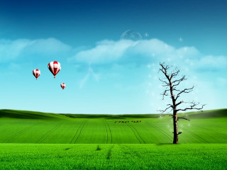Tree field hot air balloons 2 - hot air balloon free wallpaper