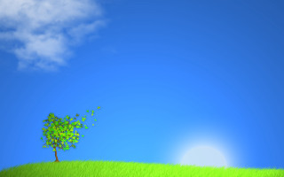 Tree hill blue sky sun 3 - environmental art free wallpaper for desktop