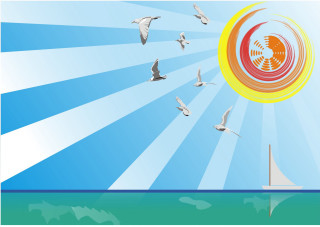 Birds flying water sun sailboat 3 - over a body of water free wallpaper