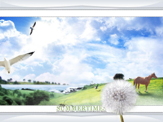 Horse bird flying field dandelion 3 - over a field free wallpaper