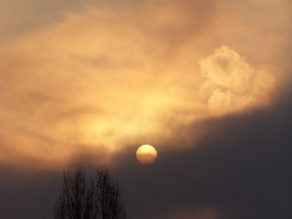 Sunset cloud tree bird flying 2 - atmospheric free wallpaper for desktop