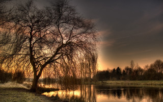 Tree grass water sunset dawn 5 - anton graff free wallpaper