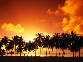 Sunset palm trees beach boat 3 - the water free wallpaper