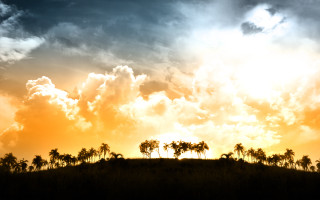 Sunset clouds trees foreground yellow 3 - a sunset free wallpaper