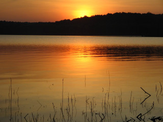 Sunset lake boat trees background - the water and trees free wallpaper