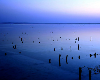 Water poles sky background nature - betye saar free wallpaper