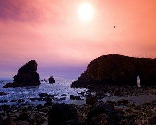 Sunset rocky beach bird flying 3 - a rock formation in the foreground free wallpaper