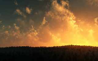 Plane forest cloudy sky sunset 2 - sunset time free wallpaper