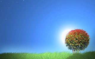 Tree grassy field bright sun - a bright sun in the background free wallpaper