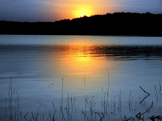 Sunset lake trees clouds sky 2 - a sunset over a lake free wallpaper