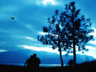 Couple sitting under tree evening 3 - overhead in the distance free wallpaper