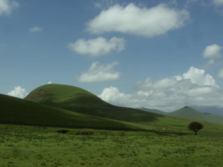Lone tree green field mountains 2 - a lone tree free wallpaper