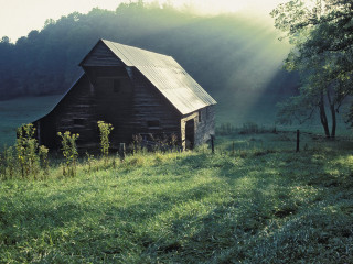 Barn field tree sunbeams grass - a barn in a field free wallpaper