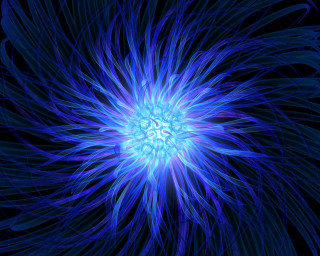 Blue flower black background bioluminescence - bioluminescence free wallpaper