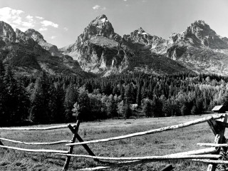 Wooden fence field mountains trees - in the foreground free wallpaper