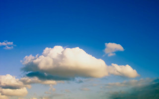 Cloud field grass trees blue - a large cloud free wallpaper