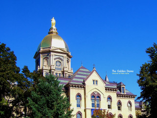 Gold dome clocktower building trees - the top of its free wallpaper