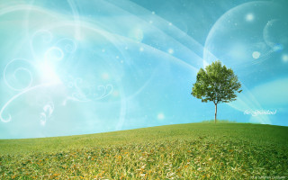 Tree hill blue sky swirly - david brewster free wallpaper