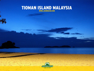 Toman island malaysia beach tree - florianne becker free wallpaper