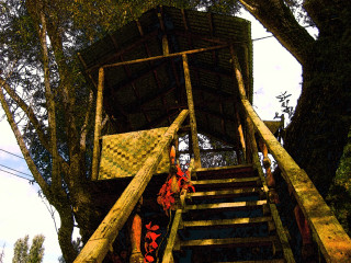 Wooden ladder structure woods trees 2 - blender and photoshop free wallpaper