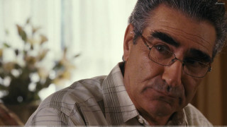 Man glasses looking distance plant - glass free wallpaper