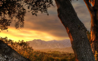 Tree mountain sunset sunrise daytime - elbridge ayer burbank free wallpaper