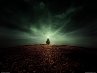 Lone tree field cloudy night - cloudy free wallpaper