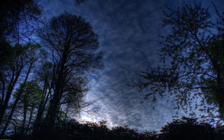 Blue sky clouds trees foreground 7 - wide free wallpaper