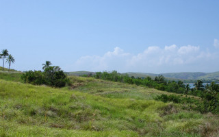 Grassy hill lake palm trees - a grassy hill free wallpaper