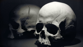 Two skulls black white image - damien hirst free wallpaper