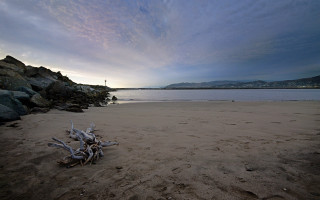 Beach driftwood water cloudy sky - ultra wide angle free wallpaper
