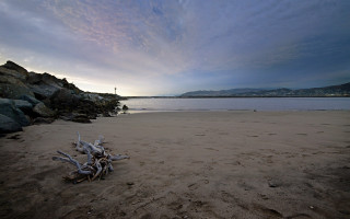 Beach driftwood water cloudy sky 5 - ultra wide angle free wallpaper