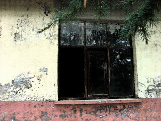 Window pine branch red wall 6 - side of a building free wallpaper