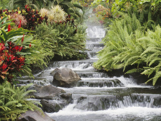 Stream lush vegetation flowers garden - alexander brook free wallpaper