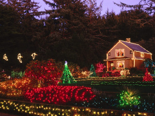 House christmas lights trees ground 3 - christmas free wallpaper