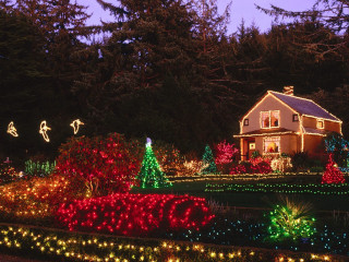 House christmas lights trees ground 2 - christmas free wallpaper