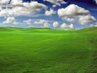 Green field blue sky clouds 21 - a green field free wallpaper