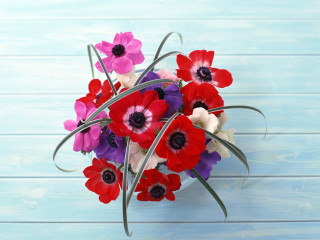 Blue vase bouquet red pink - a white vase free wallpaper