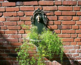 Brick wall water fountain planter - ecological art free wallpaper