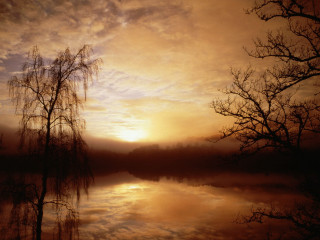 Lake trees sunset clouds foreground 4 - tree and a sunset in the background free wallpaper