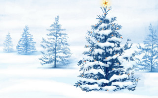 Christmas tree snow blue sky 2 - top of it free wallpaper