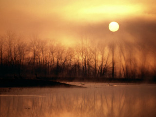 Water trees sun sky clouds 2 - dennis ashbaugh free wallpaper for desktop