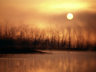 Water trees sun sky clouds - sunrise free wallpaper