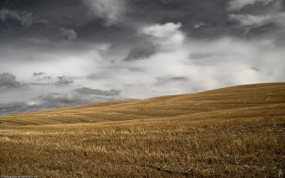 Wheat field cloudy sky lone 3 - a field of wheat under a cloudy sky free wallpaper