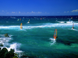Windsurfing group water sailboats background 2 - sailboat free wallpaper
