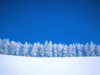 Snowboarder snowy hill trees blue 2 - a snowy hill free wallpaper