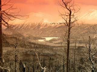 Snowy mountain lake trees red - carl hoppe free wallpaper