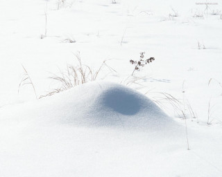 Snowboarder hill snow board shadow - andy goldsworthy free wallpaper